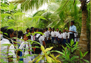 environmental education Sri Lanka