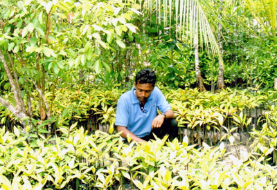 Mangrove-nursery-srilanka